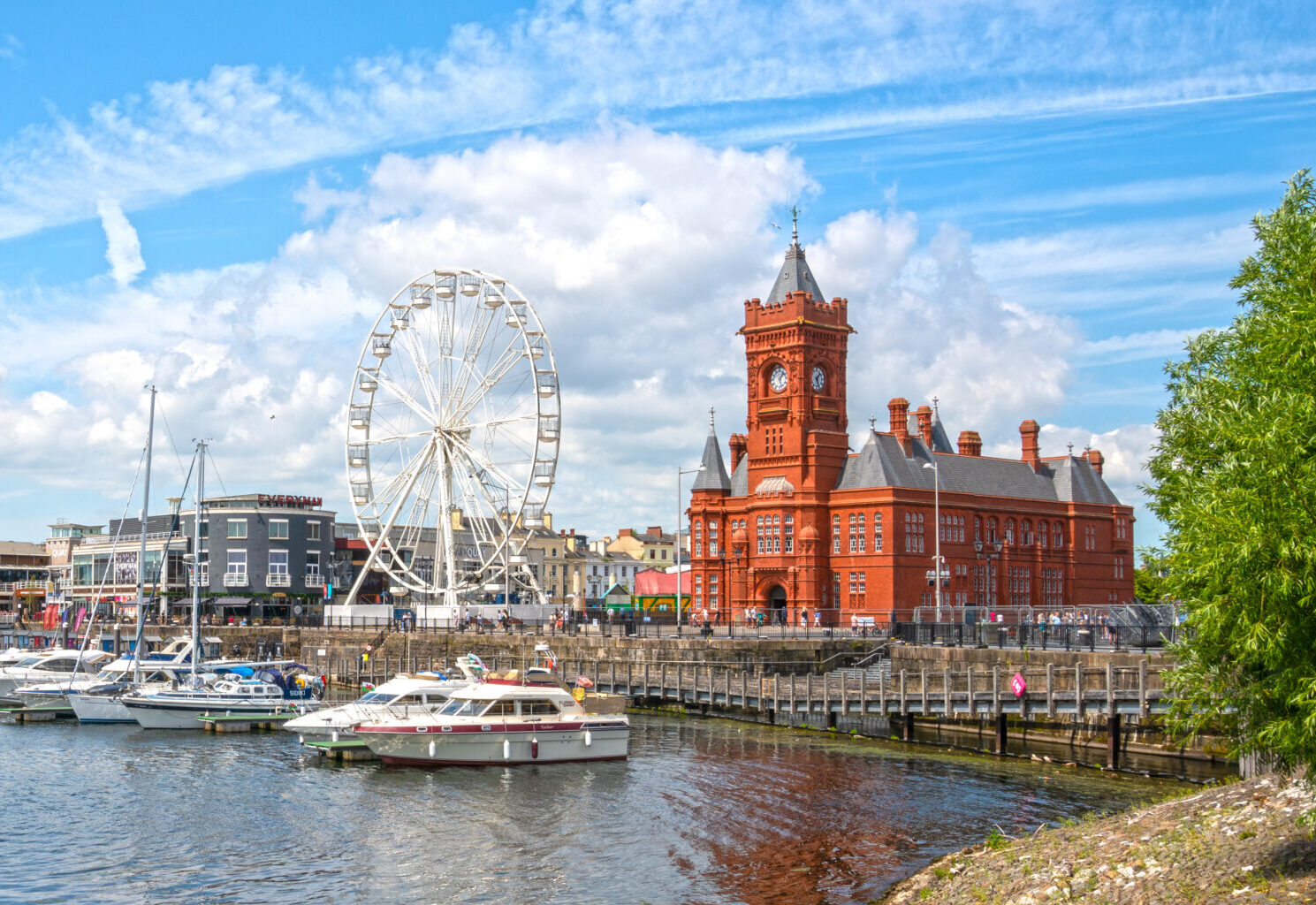 Welsh Surgical Society Meeting 2024