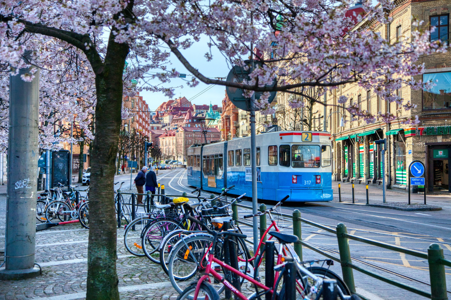 Nordic Orthopaedic Bone Infection Symposium – NOBIS 2026