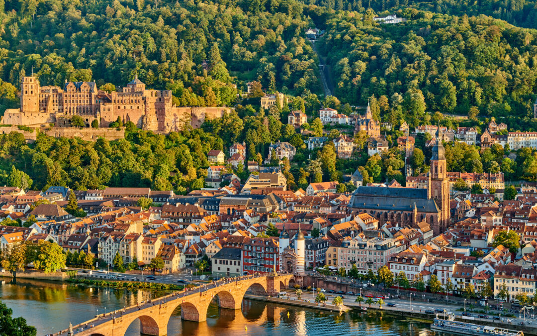 DGMKG 2024 – 74th Congress of the German Society for Oral & Maxillofacial Surgery