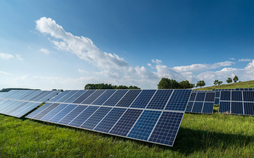 Case Study – Reducing our environmental footprint